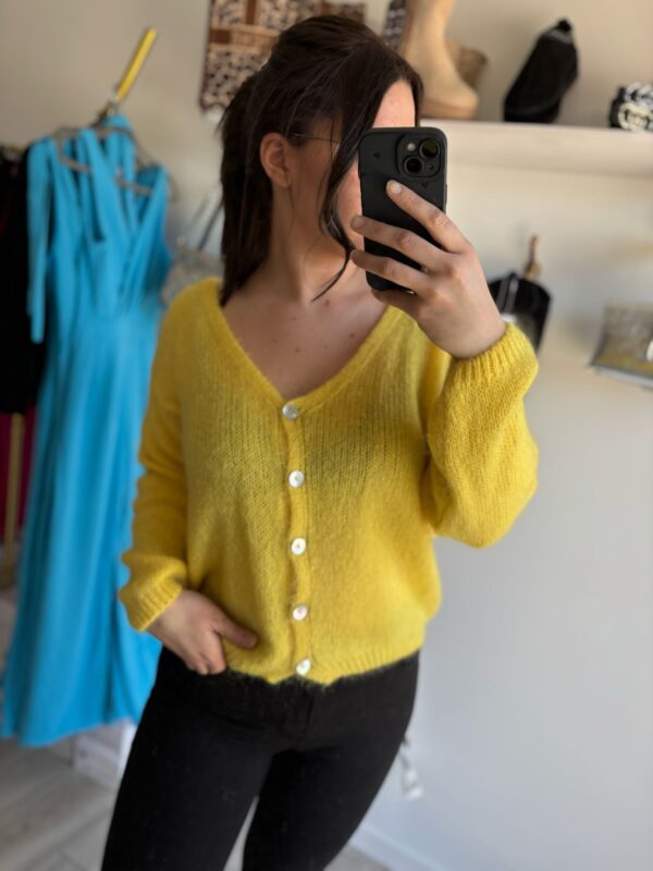 IMG-20250224-WA0053 Gilet boutonné manches longues